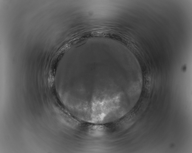 X0000115720324200912101434