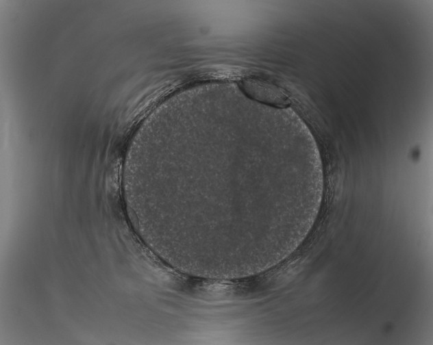 X0000115720325200912101434