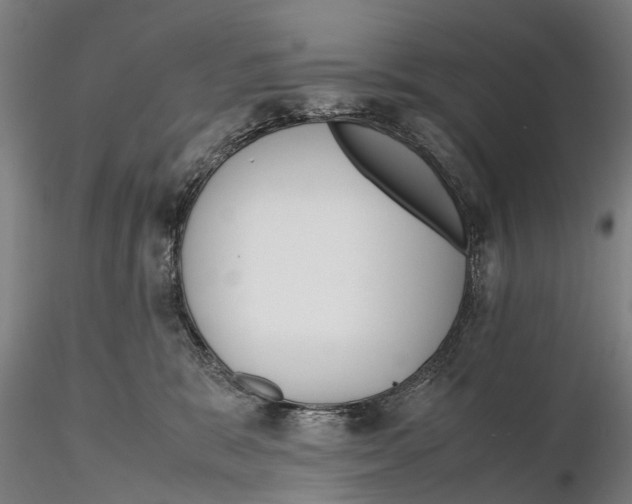 X0000115720327200912101434