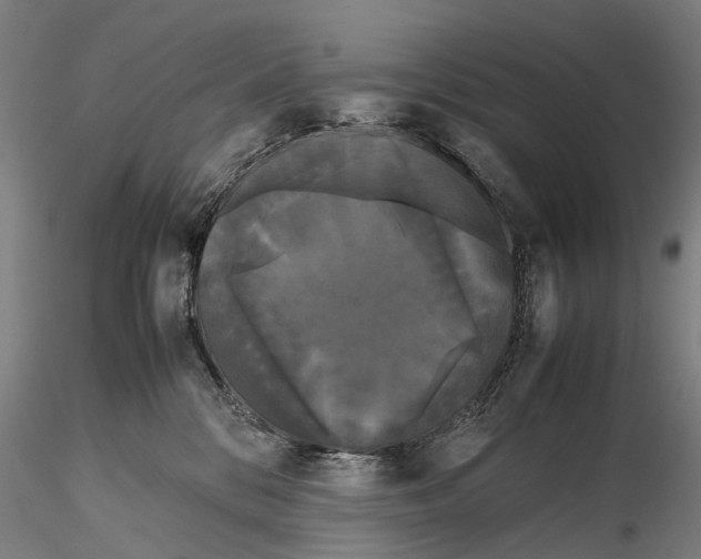 X0000115720328200912101434
