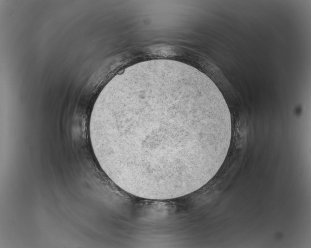 X0000115720330200912101434