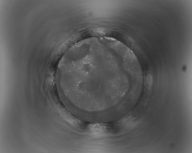 X0000115720331200912101434