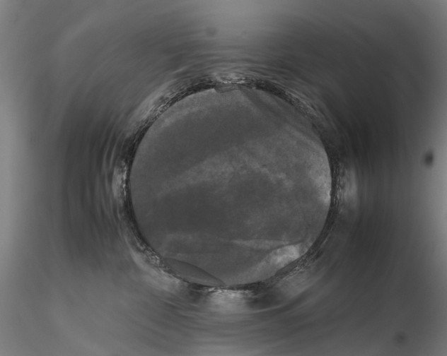 X0000115720332200912101434