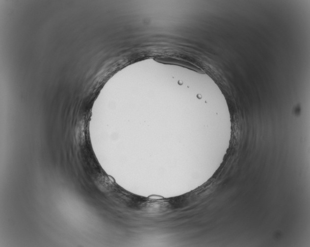 X0000115720333200912101434