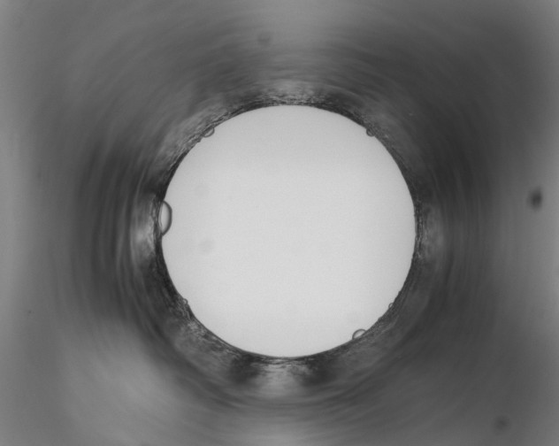X0000115720334200912101434