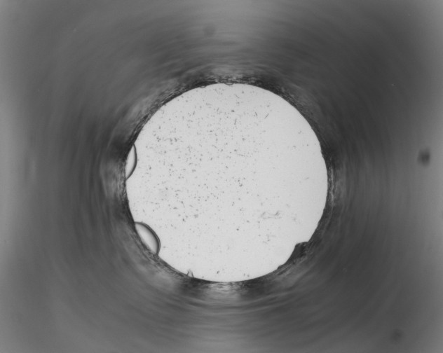 X0000115720335200912101434