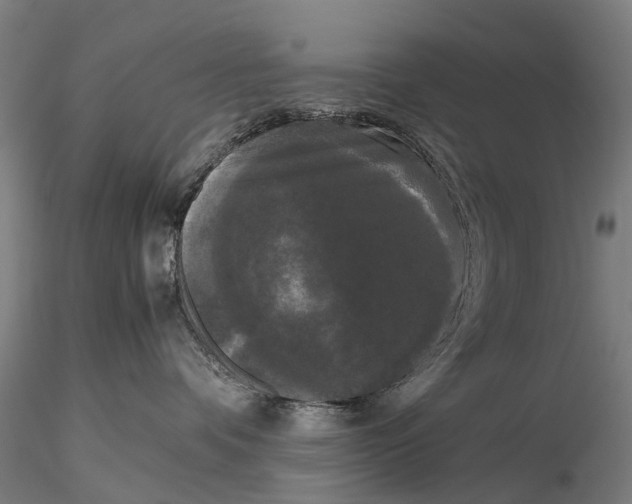 X0000115720336200912101434