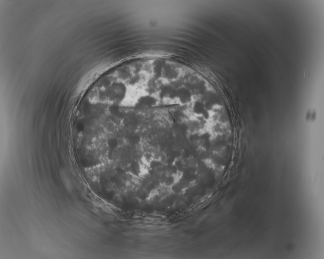 X0000115720337200912101433