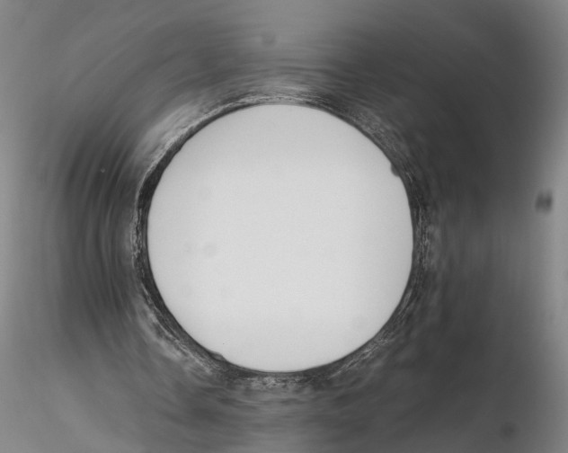 X0000115720338200912101433