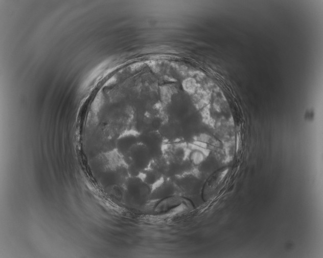 X0000115720339200912101433