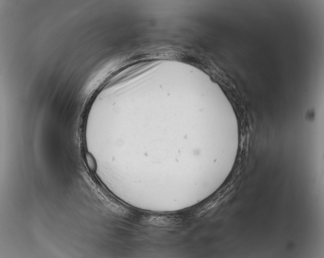 X0000115720341200912101433