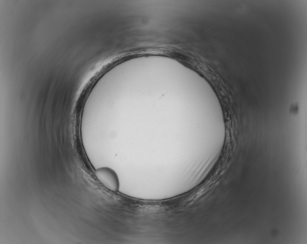 X0000115720342200912101433