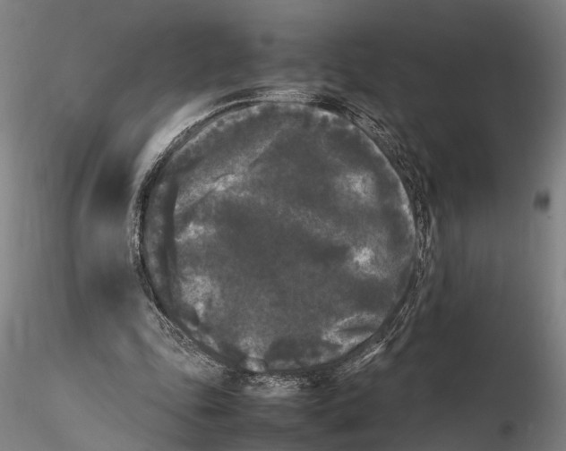 X0000115720343200912101433