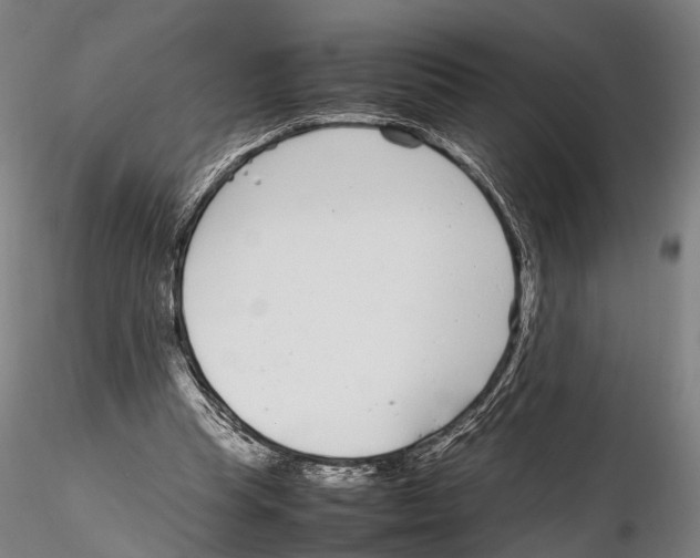 X0000115720345200912101433