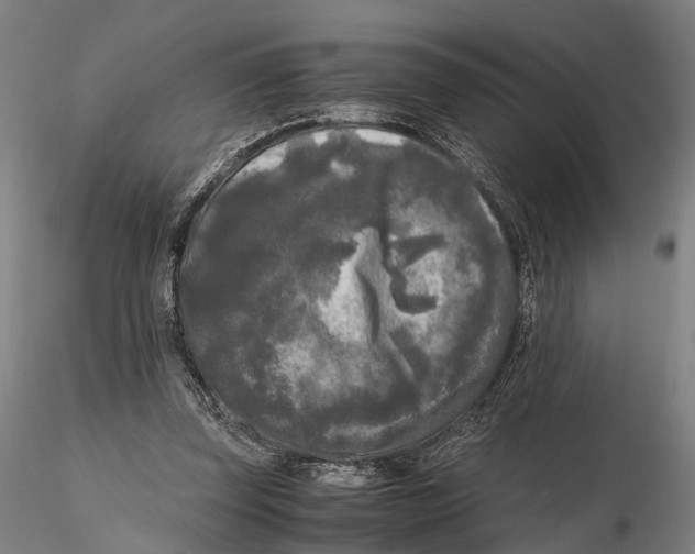 X0000115720347200912101433