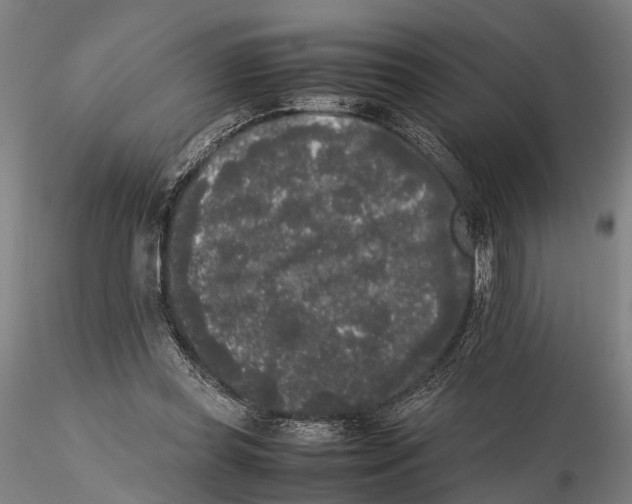 X0000115720349200912101433