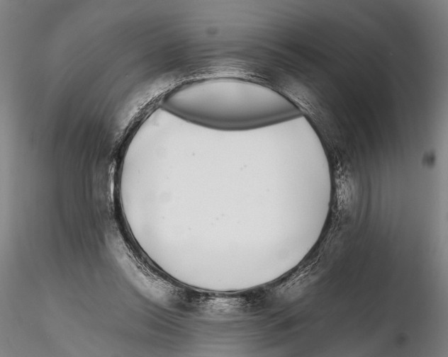 X0000115720350200912101433