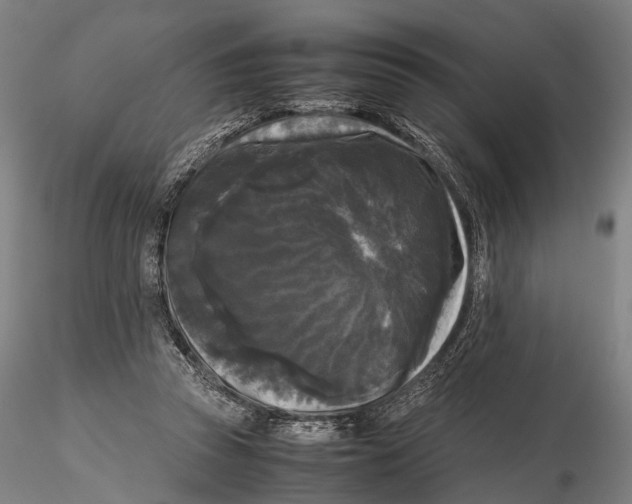 X0000115720353200912101433