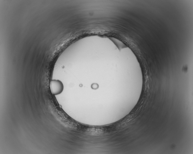 X0000115720354200912101433