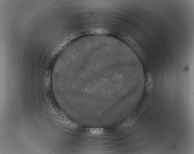 X0000115720355200912101433