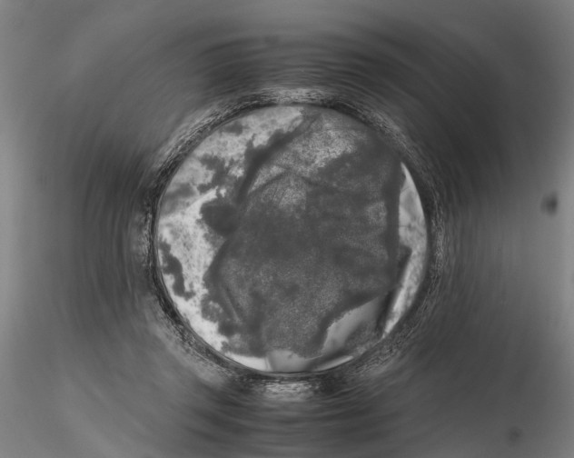 X0000115720357200912101433