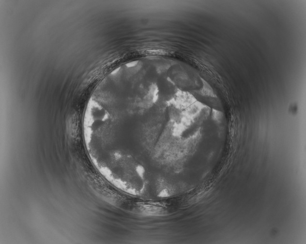 X0000115720359200912101433