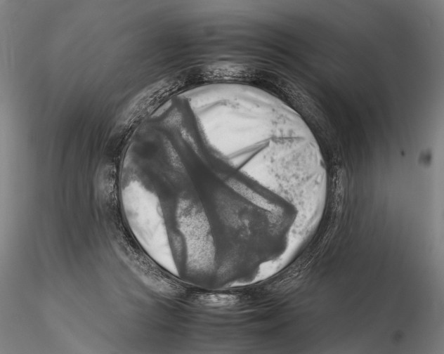 X0000115720361200912101433