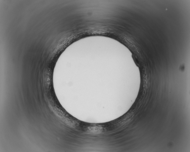 X0000115720362200912101434
