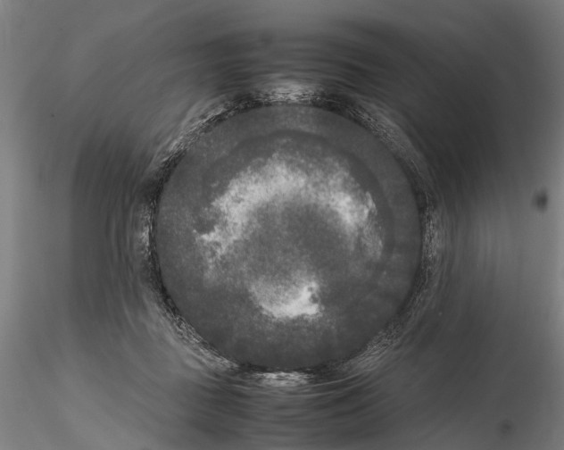 X0000115720363200912101434