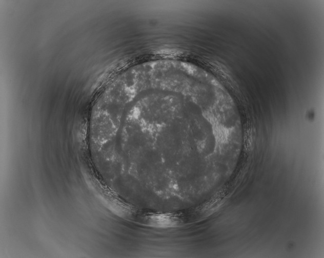 X0000115720365200912101434