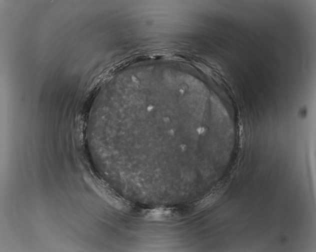 X0000115720366200912101434