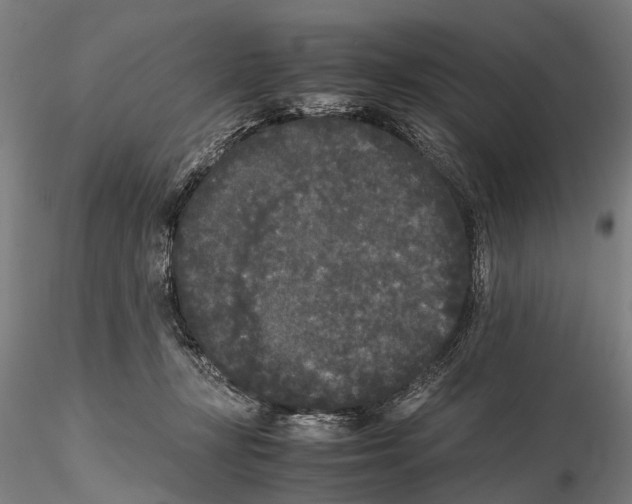 X0000115720367200912101434