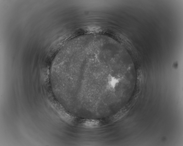 X0000115720369200912101434