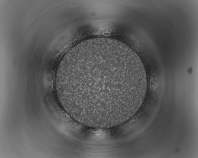 X0000115720370200912101434