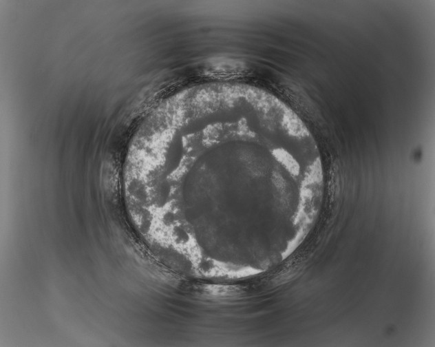 X0000115720371200912101434