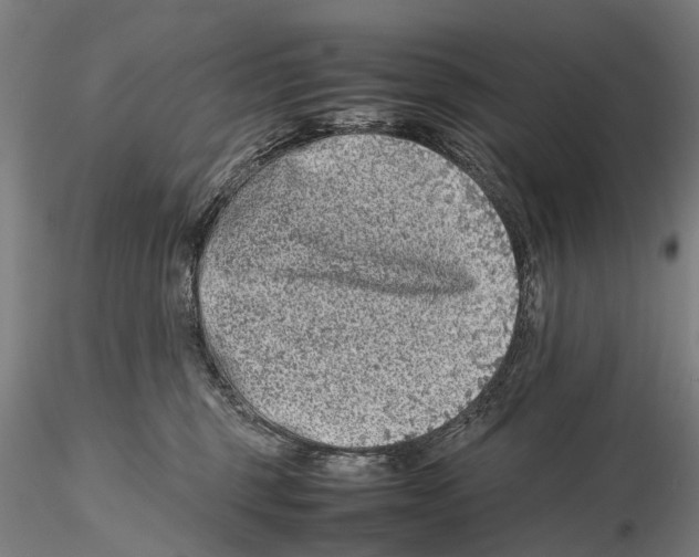 X0000115720375200912101434