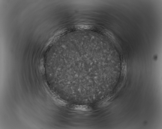 X0000115720377200912101434