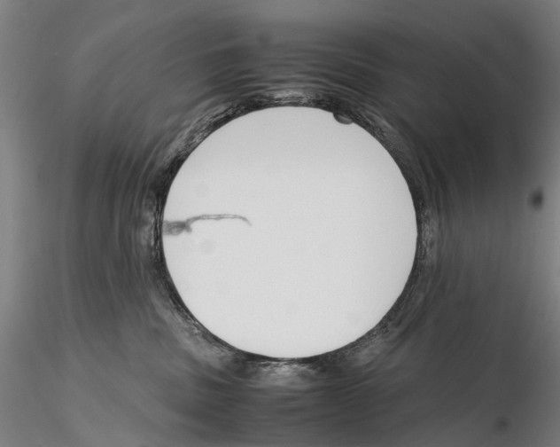 X0000115720379200912101434
