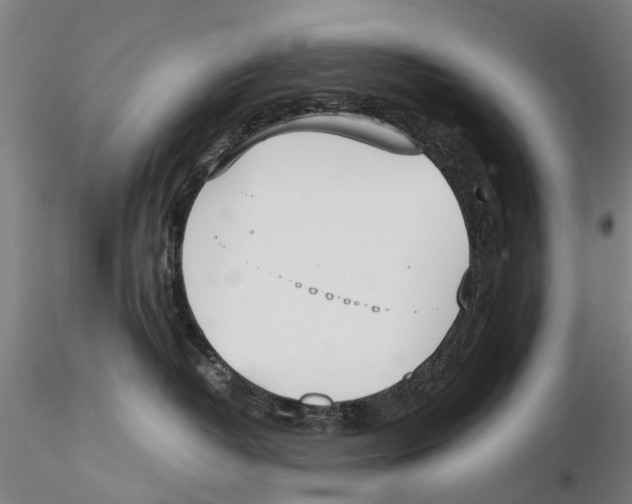 X0000115720382200912101434