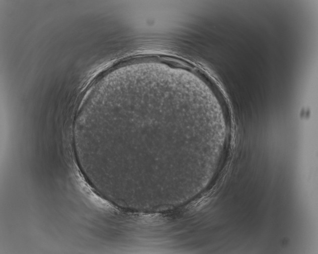 X0000115720385200912101433