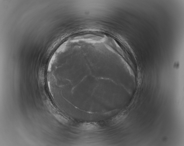 X0000115720386200912101433
