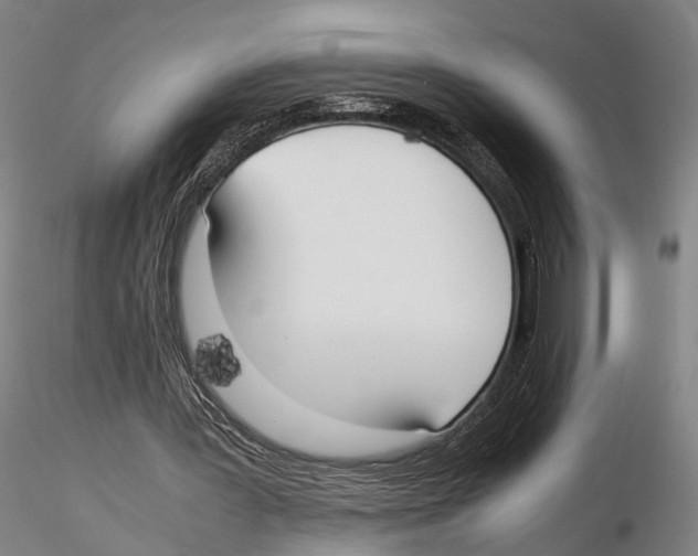 X0000115720387200912101433