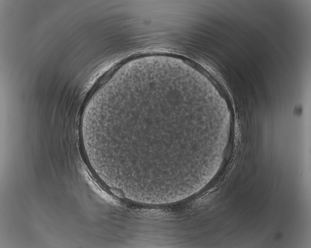 X0000115720389200912101433