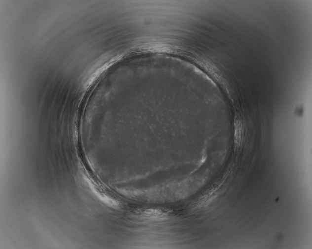 X0000115720390200912101433