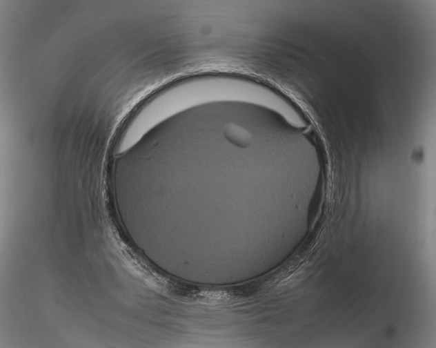 X0000115720391200912101433