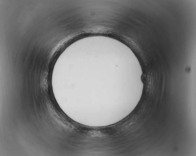 X0000115720392200912101433