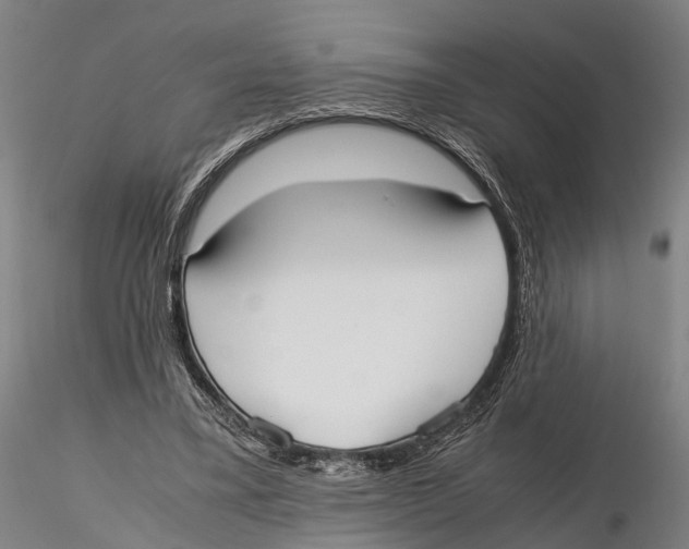 X0000115720395200912101433