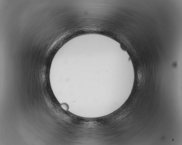 X0000115720396200912101433