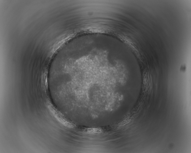 X0000115720398200912101433