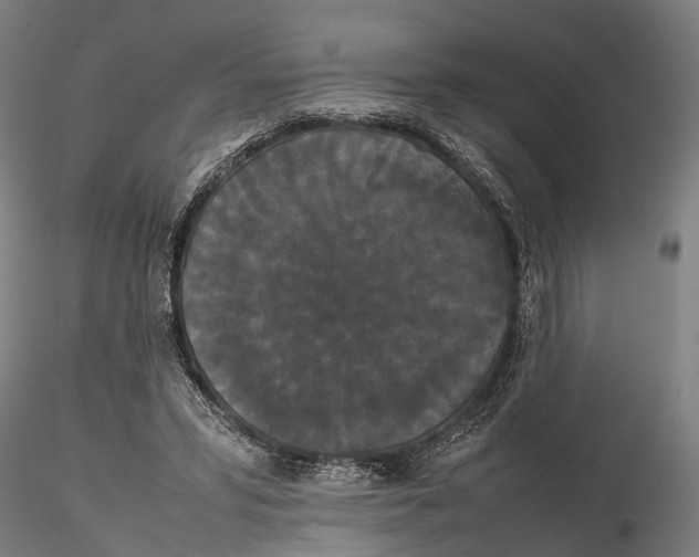 X0000115720399200912101433